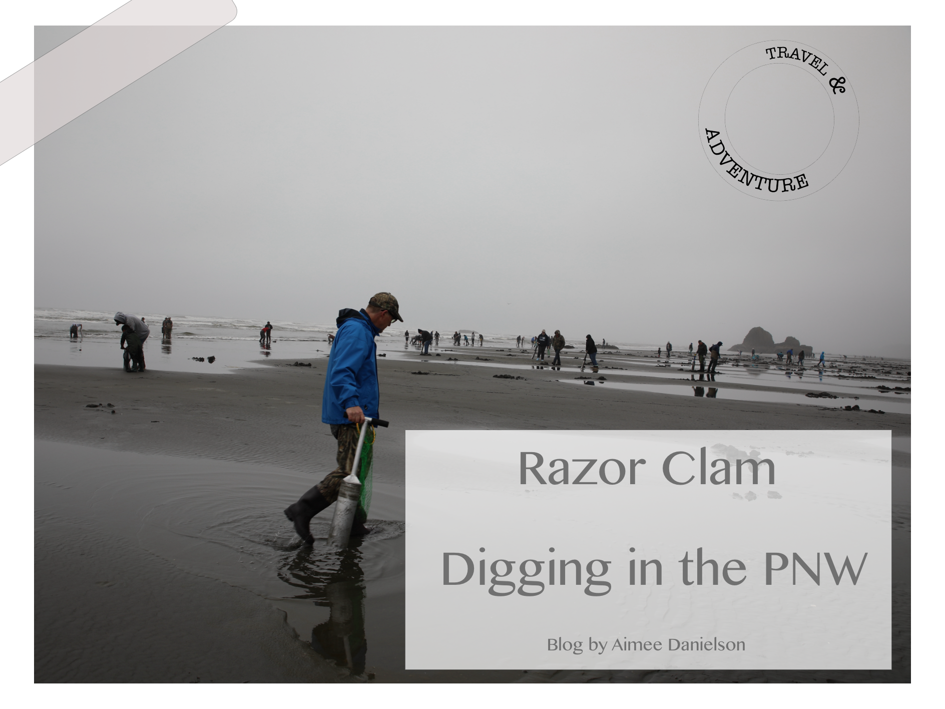 Razor Clam Dig in the Pacific Northwest