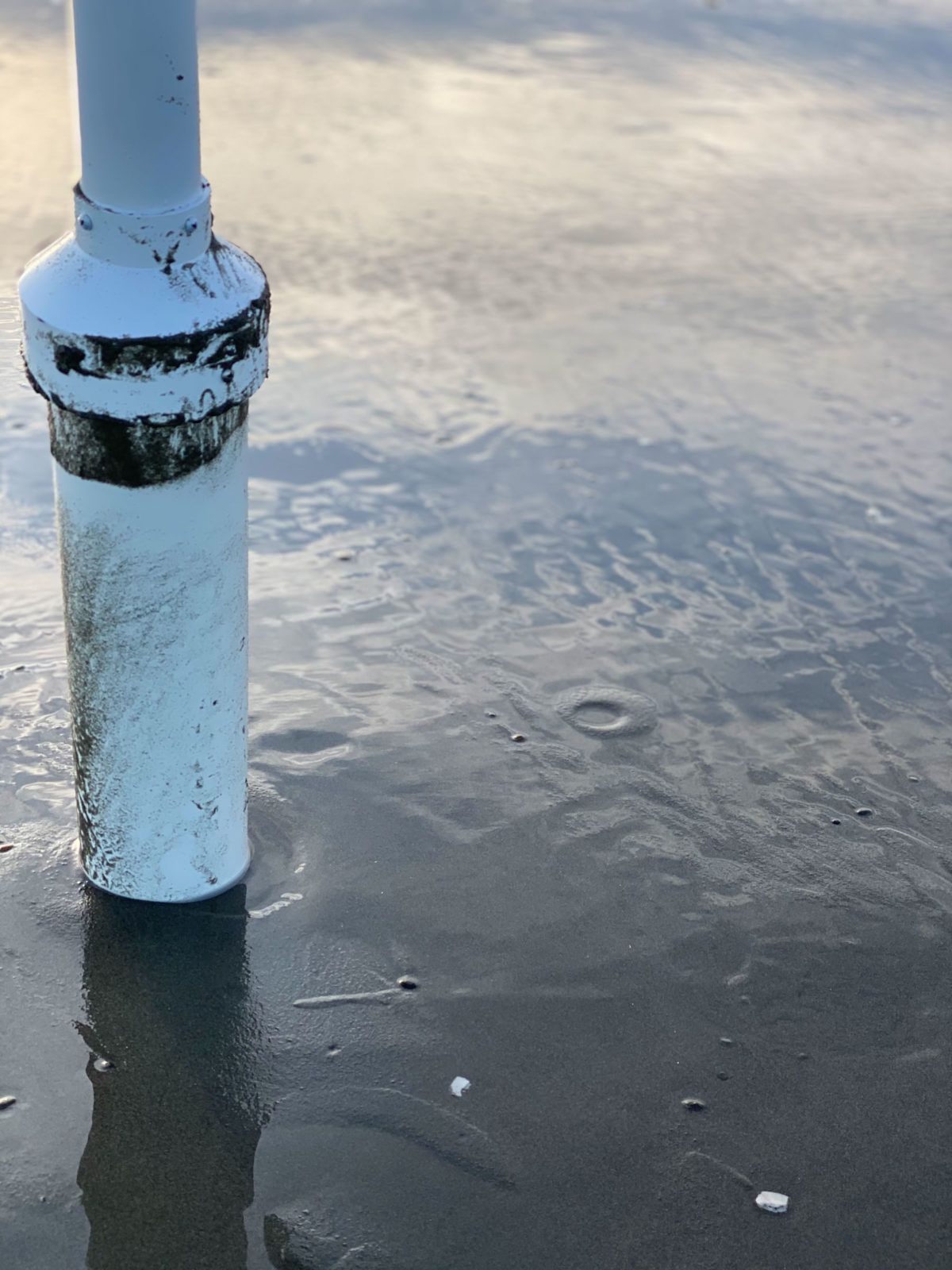 Washington State Parks and Clam Digging