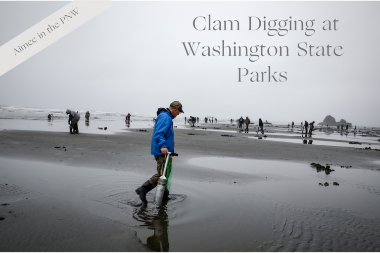 Washington State Parks and Clam Digging