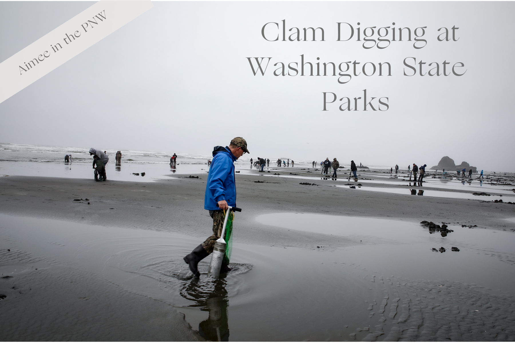 Clam Digging in Washington State